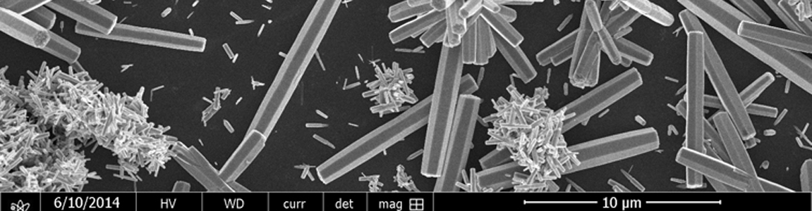 Image de microscopie électronique de nanoresonateur plasmonique