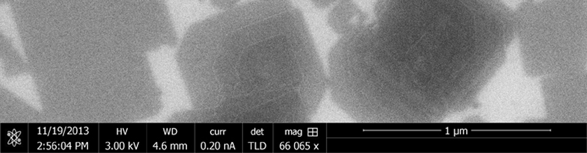 Image de microscopie électronique à balayage de nanoplaquettes de CdTe déposées sur du graphéne